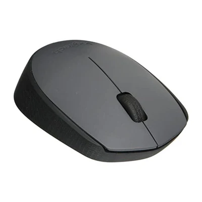 Mouse – Logitech – Wireless – M170